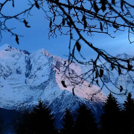 Montblanc Horizon Cosy