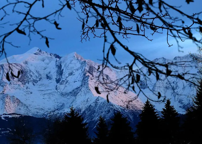 Montblanc Horizon Cosy